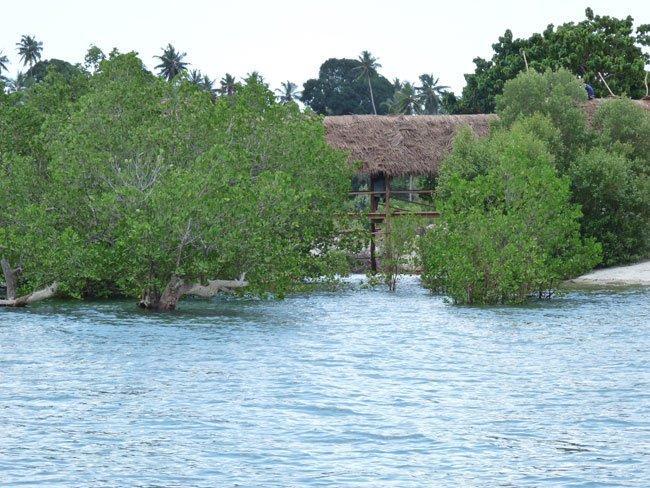 Pemba Misali Sunset Beach Wesha Exterior foto